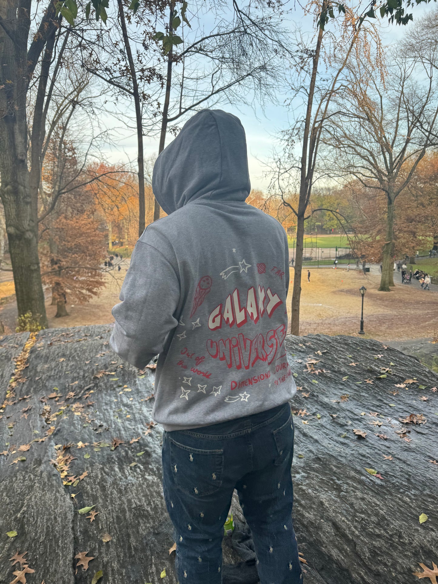 Dimensions Hoodie (gray)